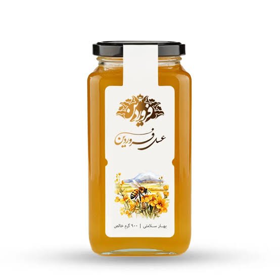 ورودی