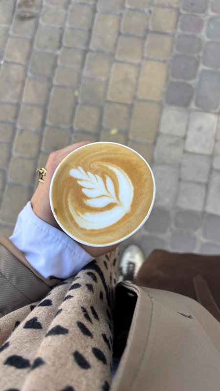 ورودی