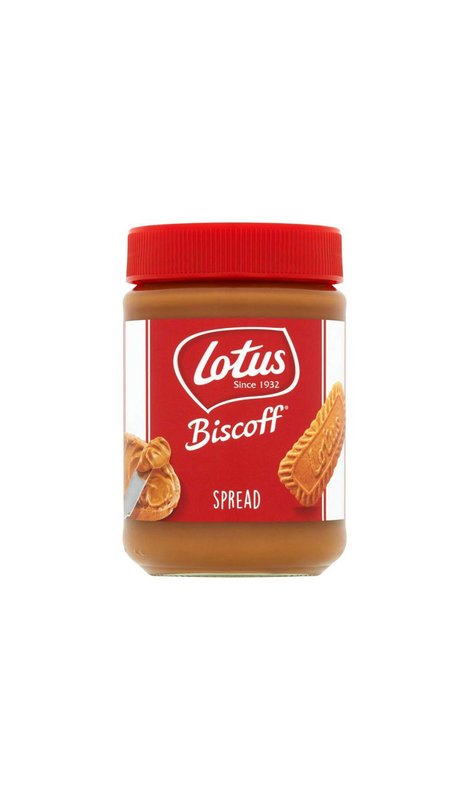 ورودی
